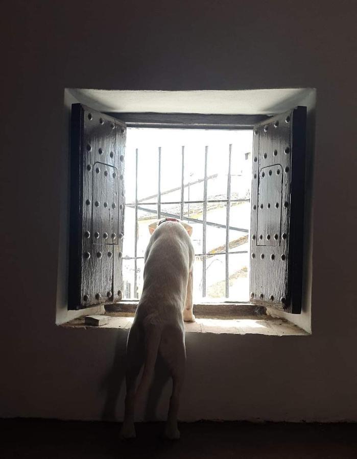 La Maestra *
